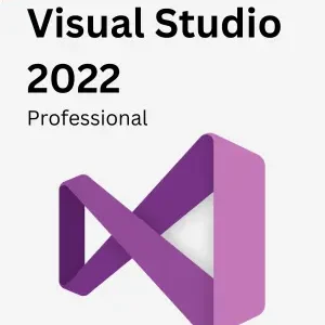 windows visual studio professional 2022