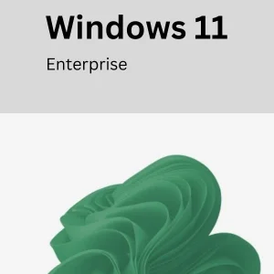windows 11 enterprise Office 2024 Professional Plus LTSC Aktivacija Download Kljuc Product Key Licenca cena Srbija Windows 11 Enterprise - Licenca - Product Key - Aktivacija